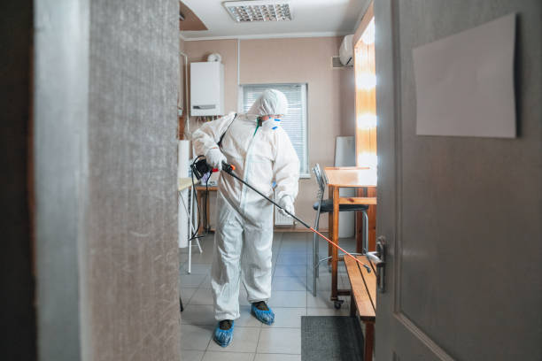  Roosevelt, UT Mold Removal Pros