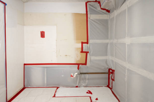 Best Commercial Mold Inspection  in Roosevelt, UT