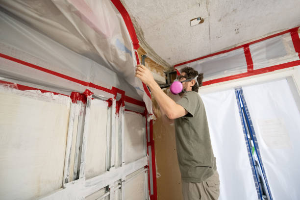 Best Comprehensive Air Testing for Mold Contaminants  in Roosevelt, UT
